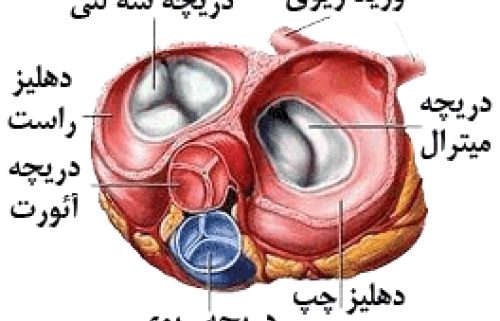 دلایل فیبریلاسیون دهلیزی دریچه ای