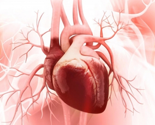 قلب چیست و چگونه کار می کند؟