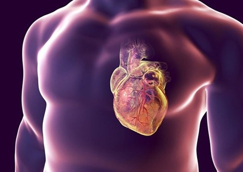درمان بیماری ماهیچه قلبی-وب سایت دکترجوزانی