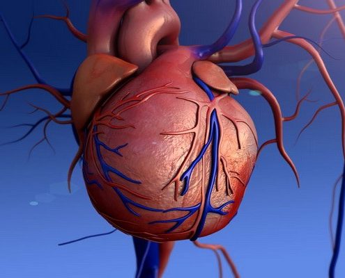 علل ایجاد تنگی دریچه سه لتی