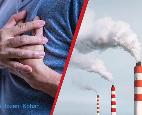 چگونه از تاثیر آلودگی هوا بر قلب جلوگیری کنیم؟